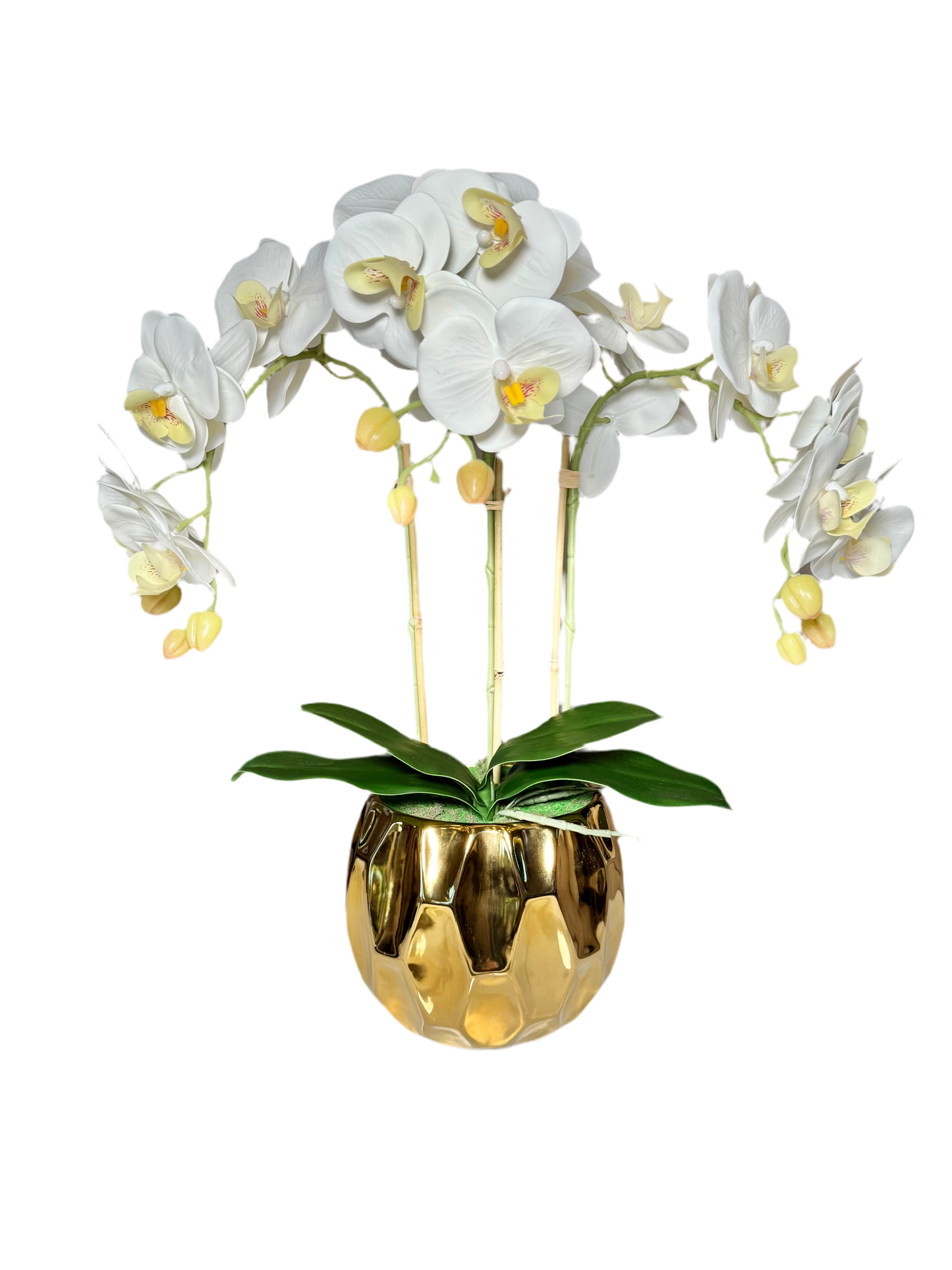 Amira Large Real Touch Phalaenopsis Orchid Floral Arrangement in Round Ribbed Gold Vase