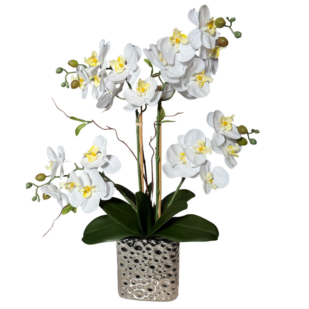 Faux Orchid for Living Room Decor
Phalaenopsis Silk Orchid Arrangement
Silver Orchid Vase for Floral Display
Silk Flowers for Wedding Decor
Ceramic Orchid Vase with Silk Flowers
Realistic Silk Orchid Flowers
Elegant Phalaenopsis Orchid Centerpiece
Luxury Orchid Vase Centerpiece
Modern Floral Arrangement in Ceramic Vase
Decorative Orchid Centerpiece for Home