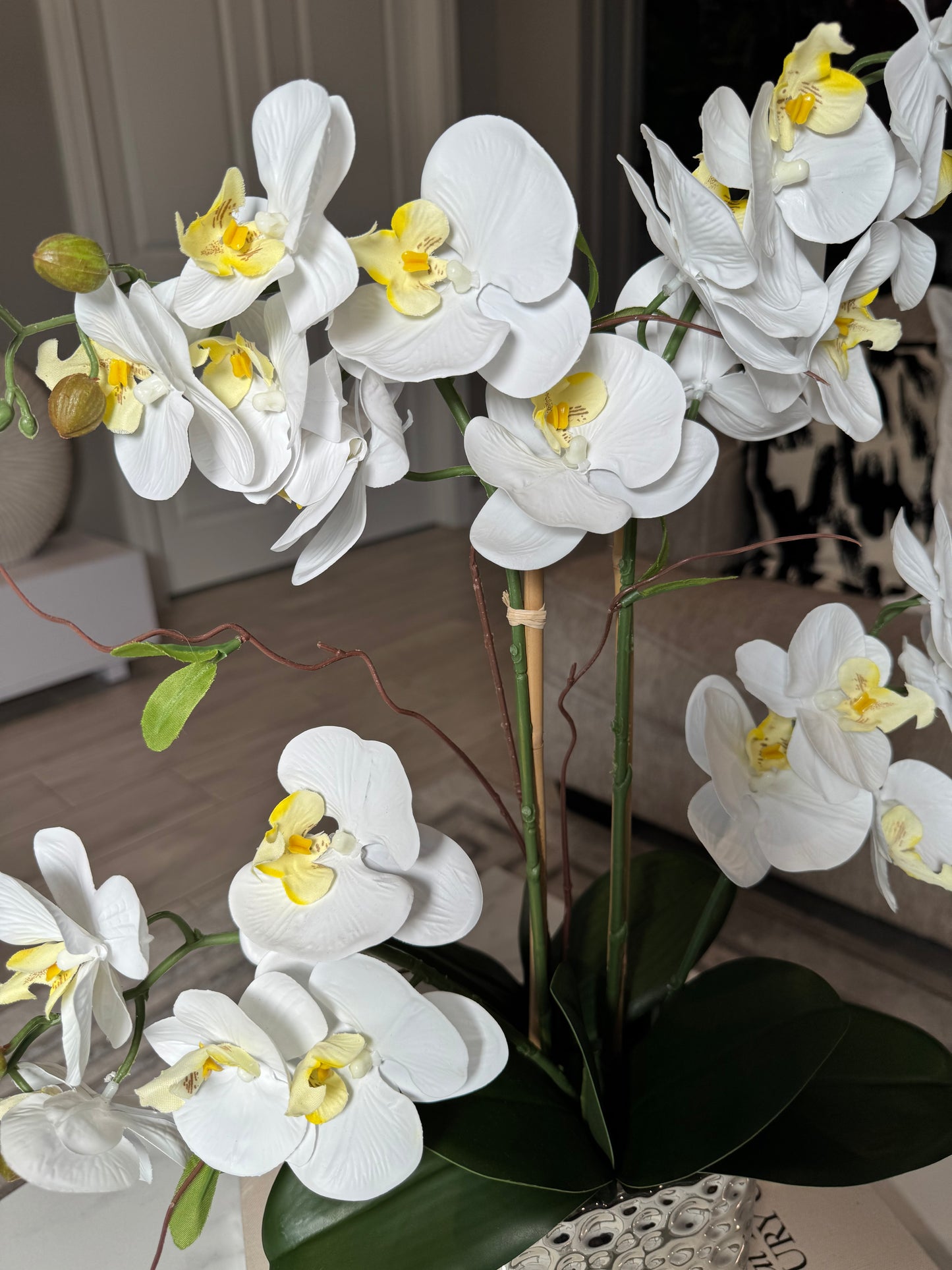Phalaenopsis Orchid Centerpiece
Silk Orchid Bouquet in Silver Vase
Silk Orchid Arrangement for Office
Silver Vase Orchid Arrangement
Artificial Orchid Home Decor
Ceramic Vase with Orchid Arrangement
Orchid Arrangement for Wedding Decor
Stylish Silk Orchid Display
Phalaenopsis Orchid for Home Decor
Decorative Orchid Flowers for Living Room