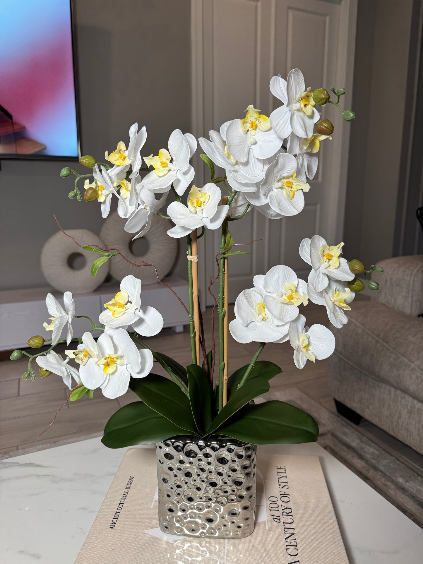 Orchid Arrangement for Living Room
Phalaenopsis Orchid Floral Arrangement
Silk Orchid Centerpiece for Home
Artificial Orchid Arrangement in Silver Vase
Silk Flowers in Ceramic Vase
Modern Orchid Arrangement for Home
Luxury Orchid Floral Display
White Phalaenopsis Orchid in Vase
Faux Orchid Flowers in Ceramic Vase
Elegant Orchid Arrangement in Silver Vase