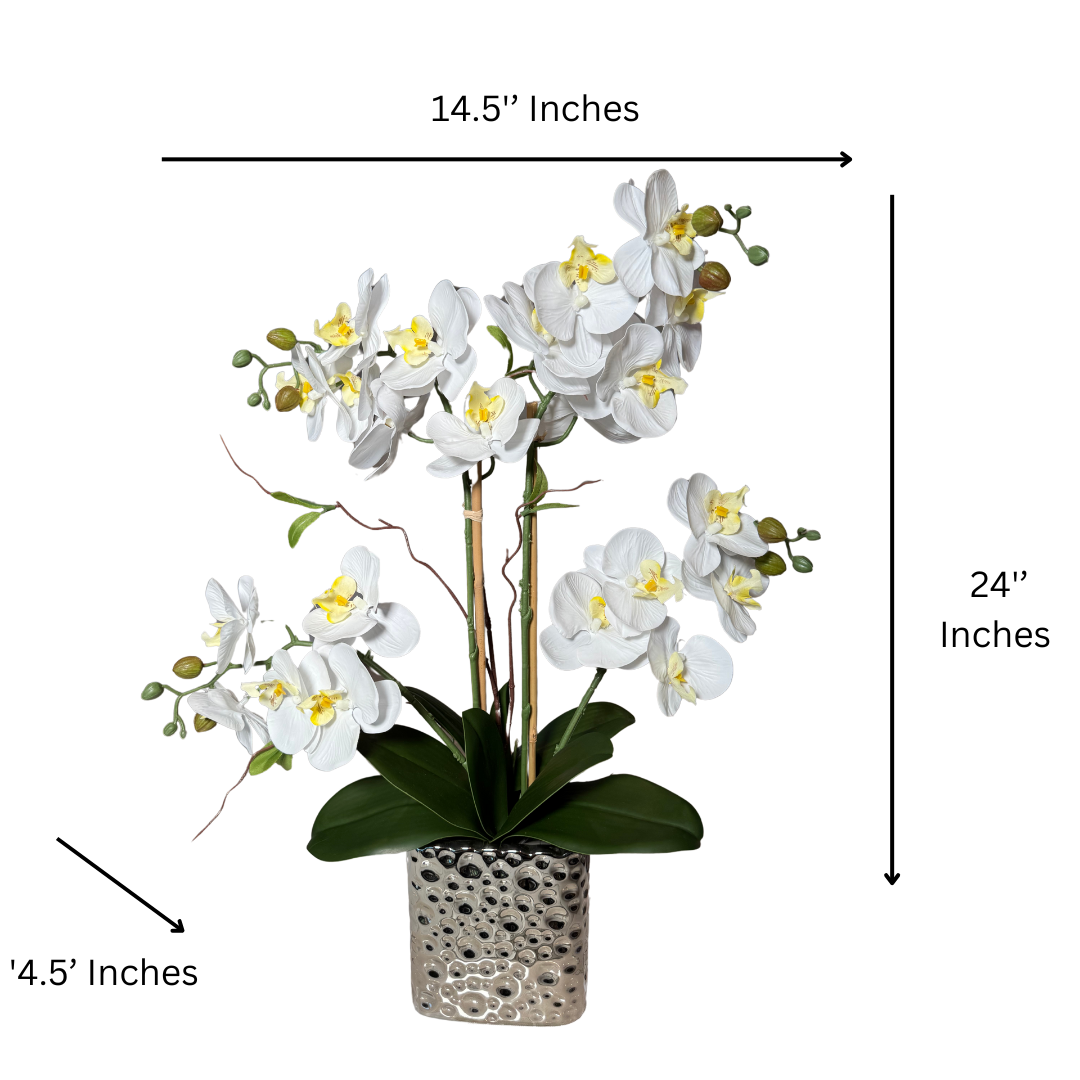Silk Phalaenopsis Orchid Arrangement
Phalaenopsis Orchid Arrangement in Vase
Silk Orchid Flowers in Ceramic Vase
Artificial Silk Orchid Arrangement
Luxury Orchid Arrangement in Vase
Phalaenopsis Orchid in Silver Vase
Silk Orchid Arrangement for Home Decor
Decorative Orchid Arrangement in Vase
Realistic Silk Orchid Arrangement
Silver Ceramic Orchid Vase