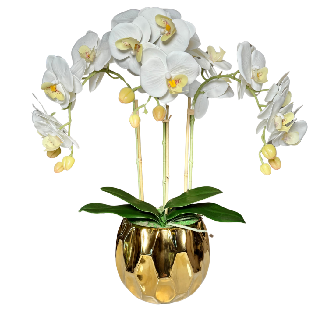 Artificial flower arrangements for modern decor
Orchid floral arrangement for luxurious living rooms
Gold vase with phalaenopsis orchid
Luxury orchids for home styling
Amira real touch orchid arrangement
Fake orchid flowers in gold vase
Orchid centerpiece for elegant home
Orchids in decorative gold vase
Real touch orchid flower decor
Beautiful orchid arrangement in round vase