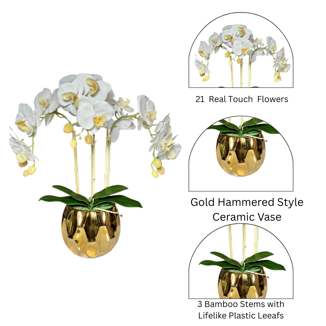 Orchid flowers for modern home decor
High-end floral decor for living room
Best artificial orchid arrangements
Gold ribbed vase floral arrangement
Indoor orchids for luxurious homes
Orchid floral arrangements for gifts
Real touch flower arrangements for office
Lifelike fake orchids for table decor
Large decorative orchid in vase
Orchid arrangement with real touch petals