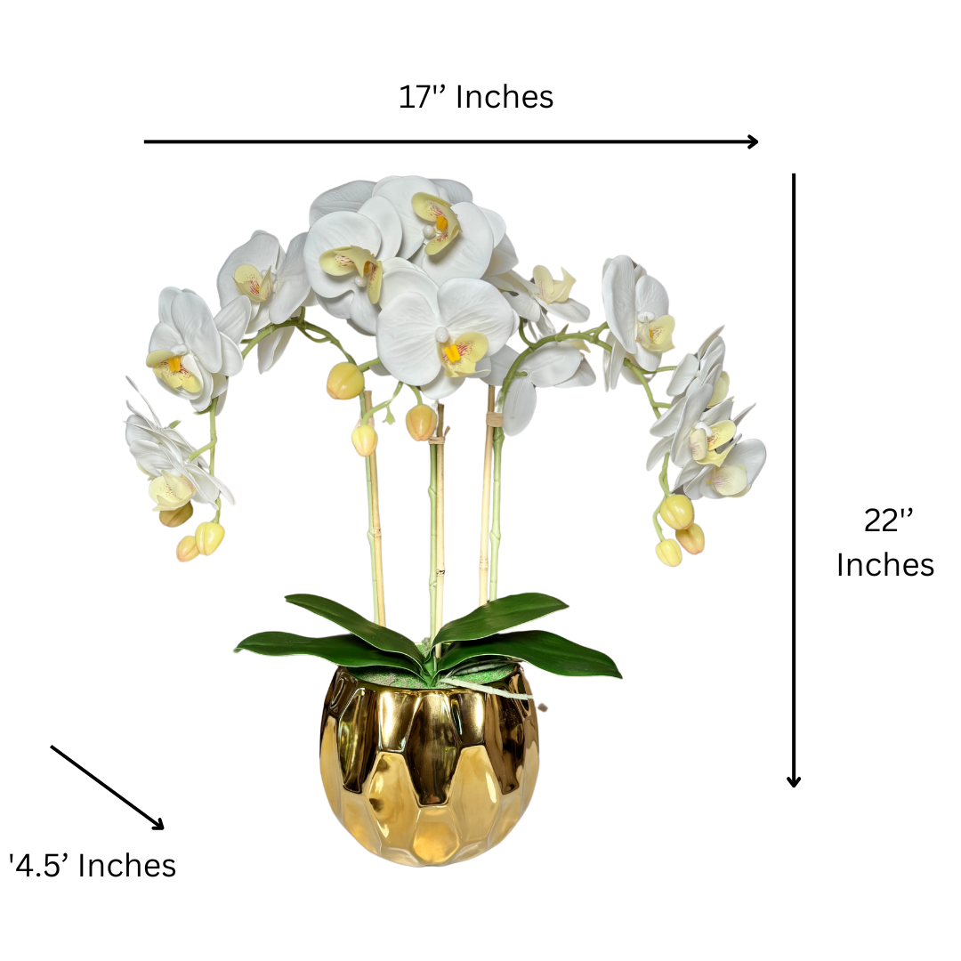 Premium quality orchid arrangement
Lifelike orchid arrangement in vase
Home decoration orchid flowers
Real touch fake orchids in vase
Realistic artificial orchid centerpiece
Large artificial orchid arrangement
Luxury floral arrangements orchid
Amira Phalaenopsis orchid bouquet
Elegant floral vase with orchids
Orchid arrangement for weddings