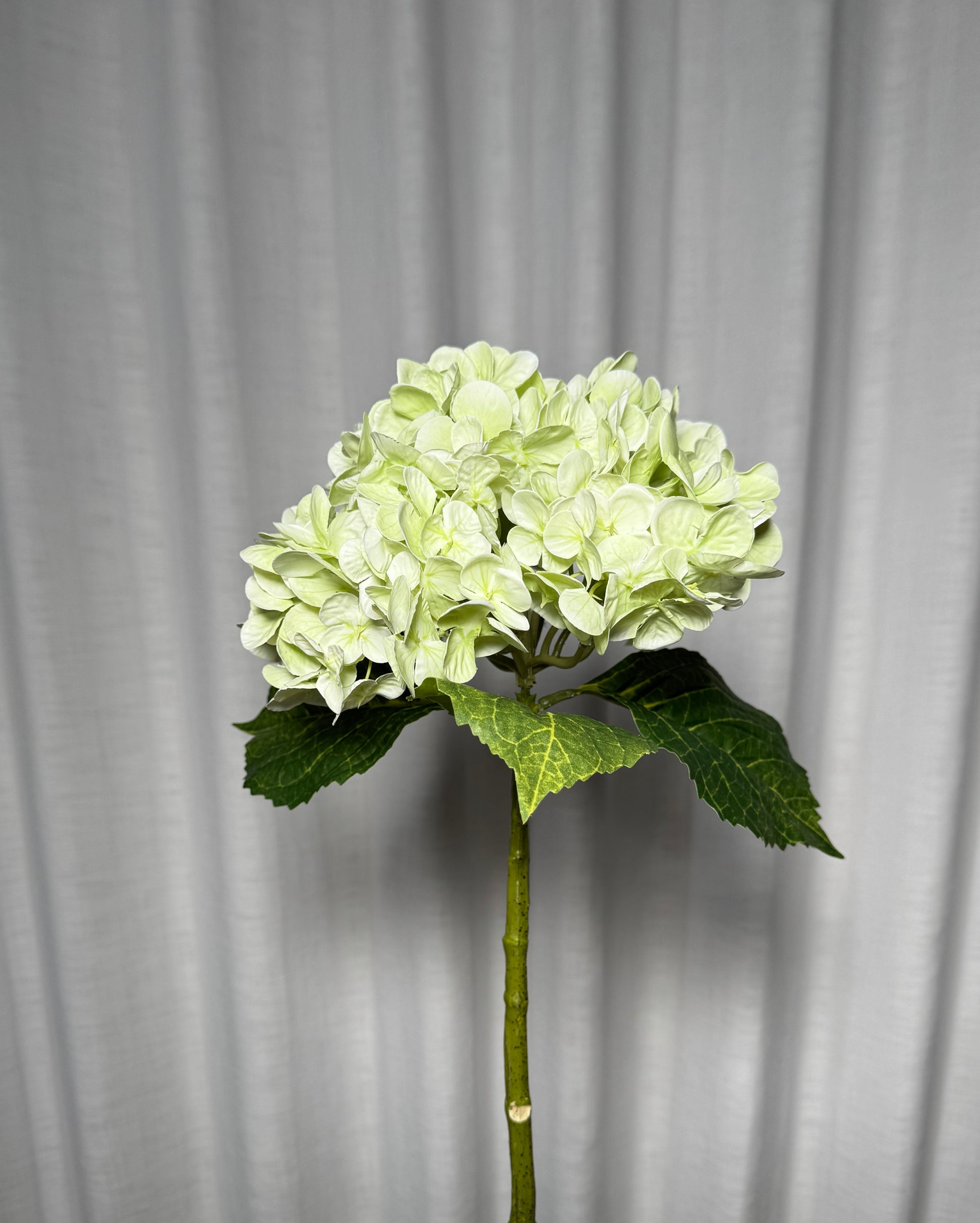 craft flowers hydrangeas
DIY flower arrangements
hydrangea craft stems
fake flowers for flower wall
hydrangea stems for wreath making
artificial flowers for scrapbooking
green hydrangeas for DIY bouquet
craft supplies artificial flowers
fake flower bundle for projects
DIY centerpiece faux flowers