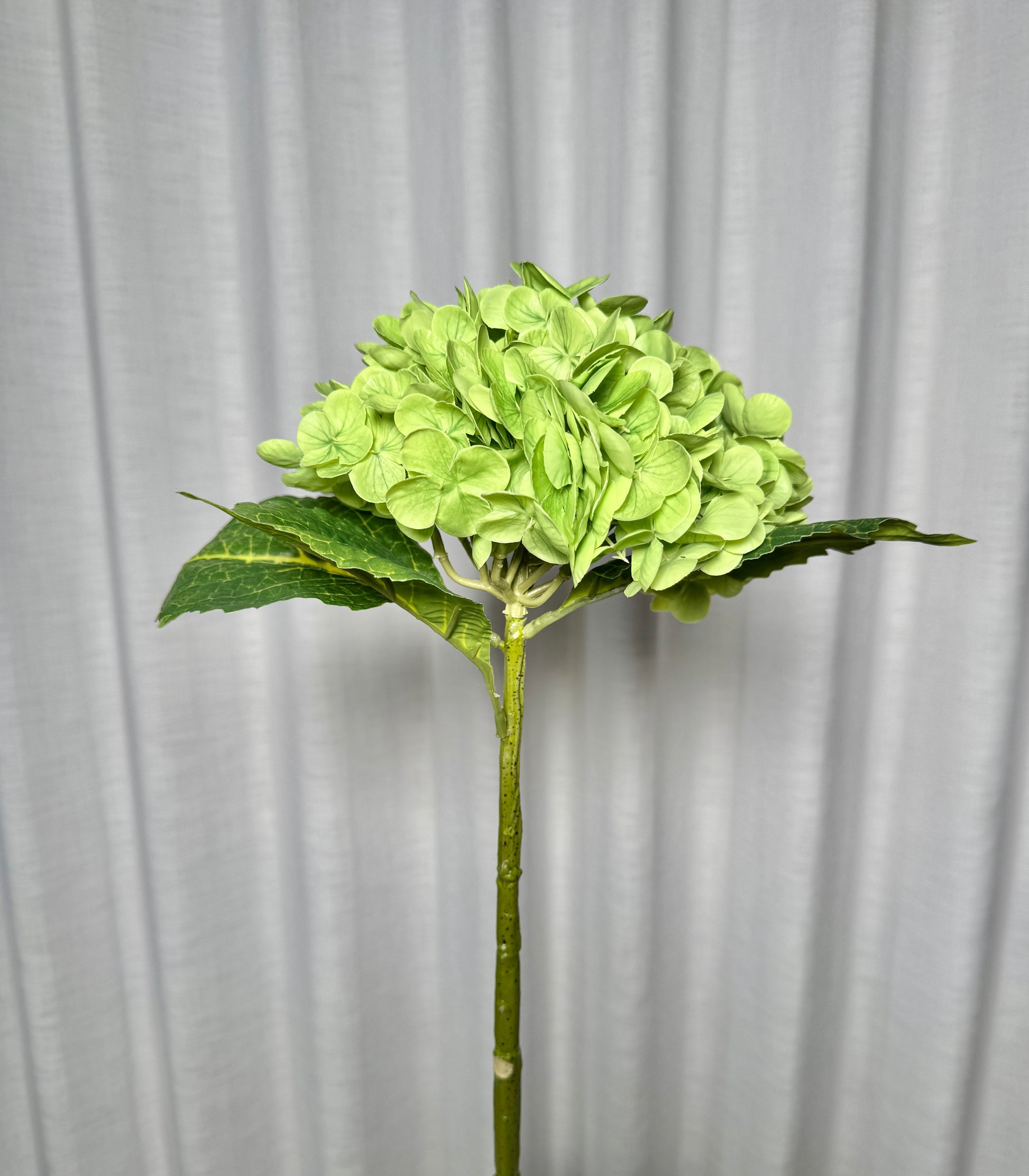artificial wedding flowers
green hydrangea wedding bouquet
faux flowers for wedding arches
fake flowers for bridesmaid bouquet
lifelike wedding centerpieces
real touch wedding florals
realistic fake flowers for reception
wedding table décor hydrangeas
budget wedding flowers
alternative to real wedding flowers