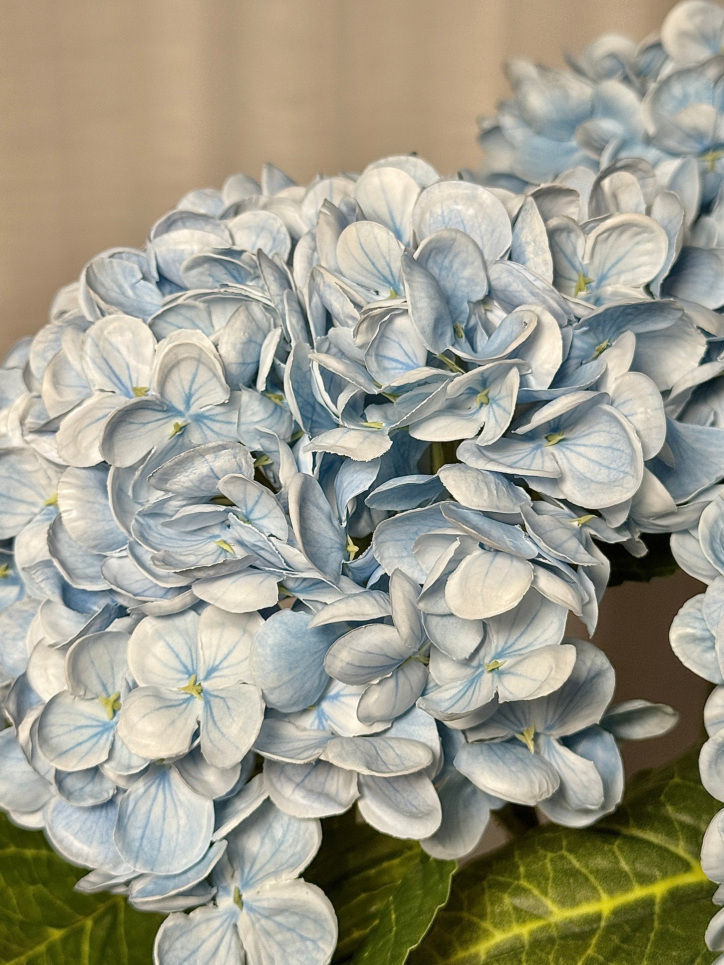 blue artificial flowers for home décor
silk flowers for living room vase
farmhouse style blue florals
mixed blue flower centerpiece
faux flowers for mantel décor
real touch blue florals for home
classic home styling with faux flowers
navy blue flower stems for vase
artificial flowers for kitchen table
blue faux blooms for modern décor