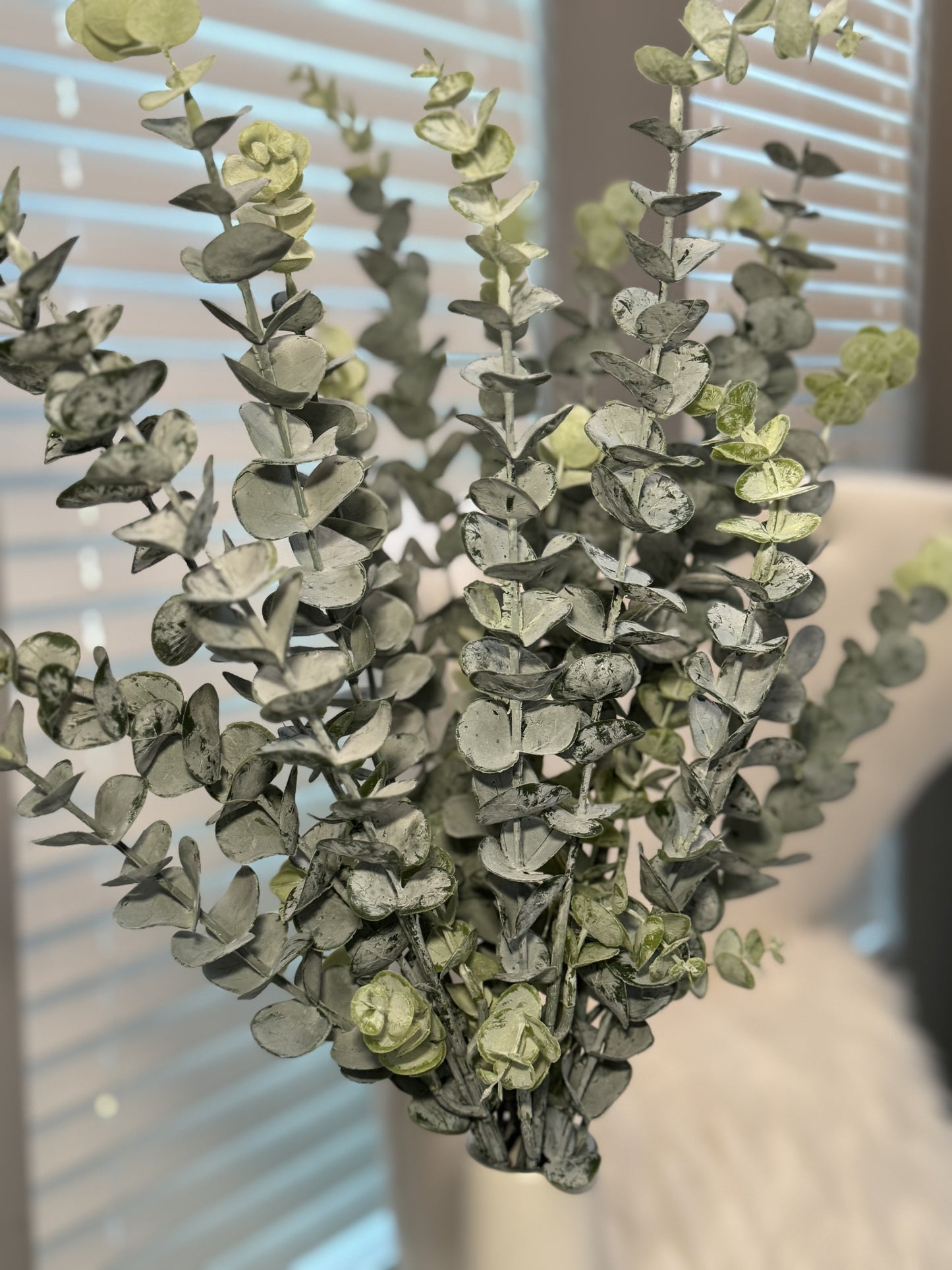 30" artificial eucalyptus branches
Green frosted faux eucalyptus
Artificial plant with 3 eucalyptus stems
Tall faux eucalyptus branches
Eucalyptus spray artificial plant
Real touch eucalyptus leaves
Frosted greenery stems
Long stem eucalyptus artificial
Natural-looking faux eucalyptus
Set of eucalyptus stems artificial