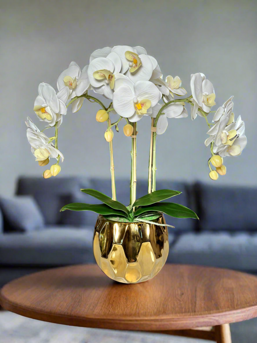 Amira Large Real Touch Phalaenopsis Orchid Floral Arrangement in Round Ribbed Gold Vase