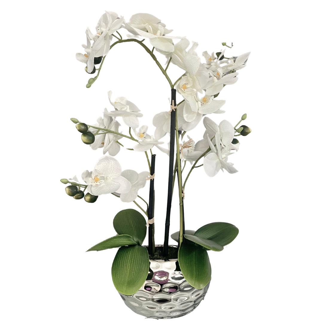 buy white faux orchid in pot
23 inch artificial orchid online
orchid plant in decorative silver vase
premium faux orchid for home
resin-based faux orchid display
lifelike orchid in metallic planter
faux flower for modern interior
decorative orchid in resin for sale
best artificial orchid in silver pot
realistic phalaenopsis orchid decor