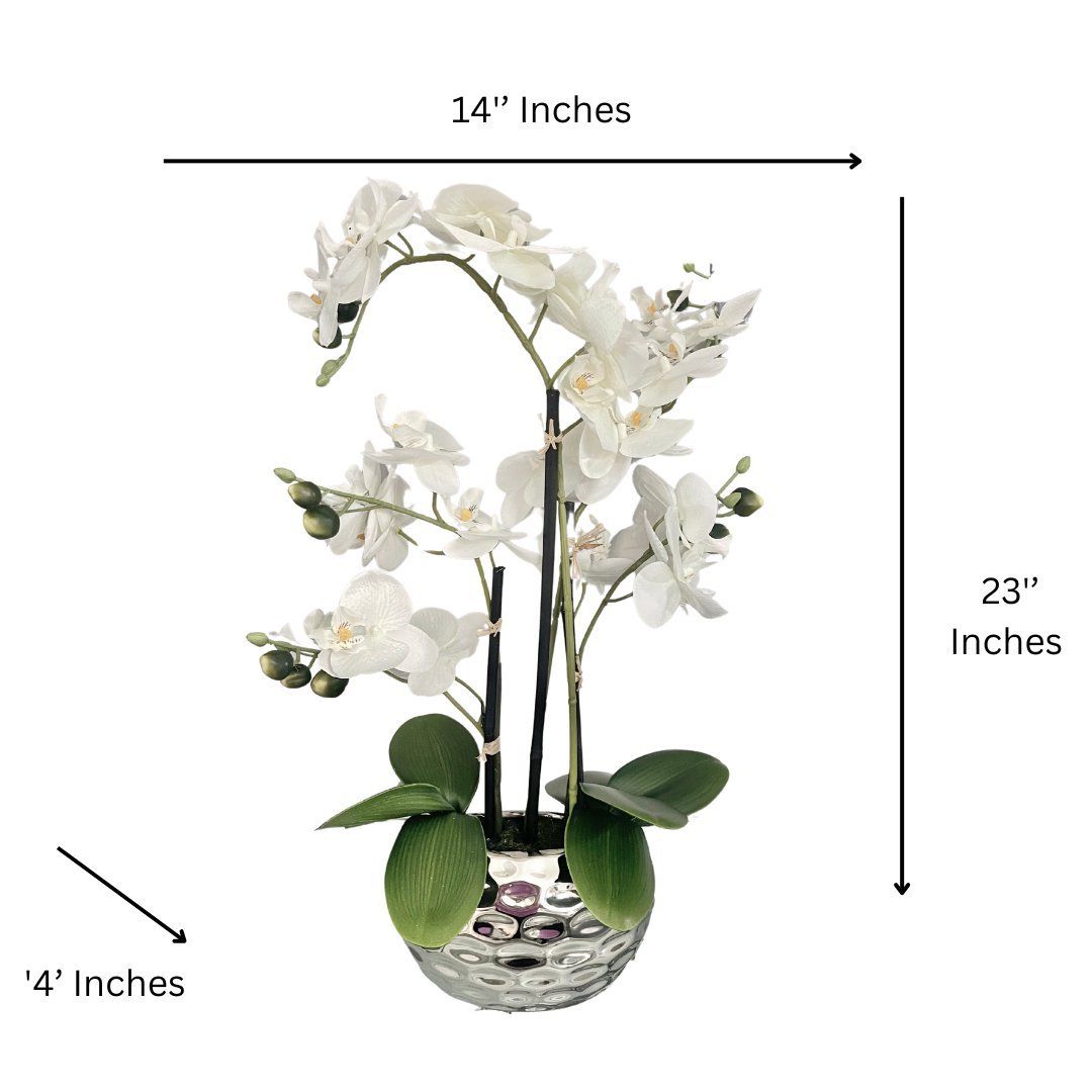 modern orchid table decor
faux floral home accent
minimalist orchid centerpiece
indoor artificial orchid decor
white orchid for living room
tabletop orchid flower decor
artificial orchid for shelf or mantel
entryway orchid plant decor
elegant faux orchid for interior design
neutral orchid arrangement for any room