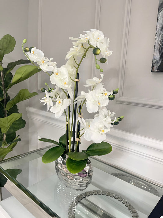orchid in silver pot
resin orchid floral arrangement
faux flower in resin base
silver planter orchid arrangement
23" orchid in silver vase
orchid in decorative silver pot
artificial orchid in ceramic pot
orchid decor in metallic vase
silver pot faux flower centerpiece
decorative resin orchid pot