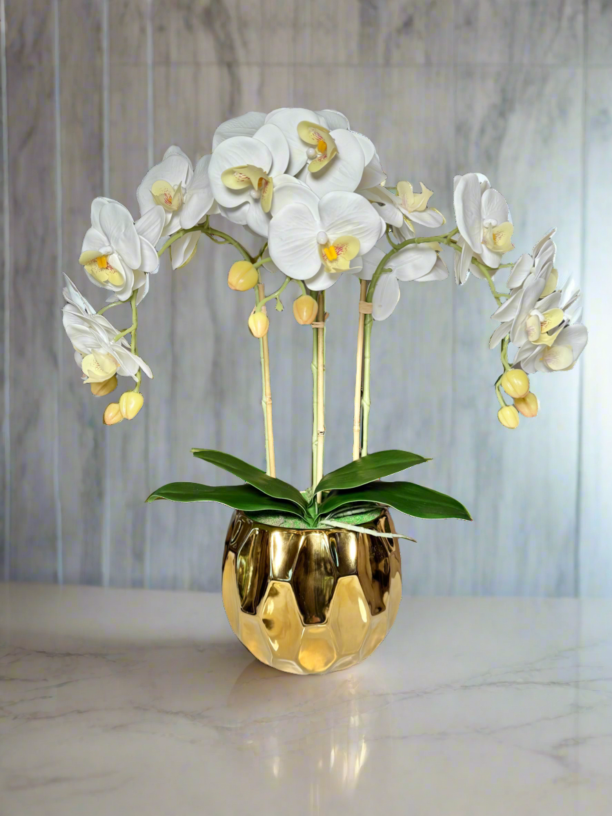 Amira Large Real Touch Phalaenopsis Orchid Floral Arrangement in Round Ribbed Gold Vase