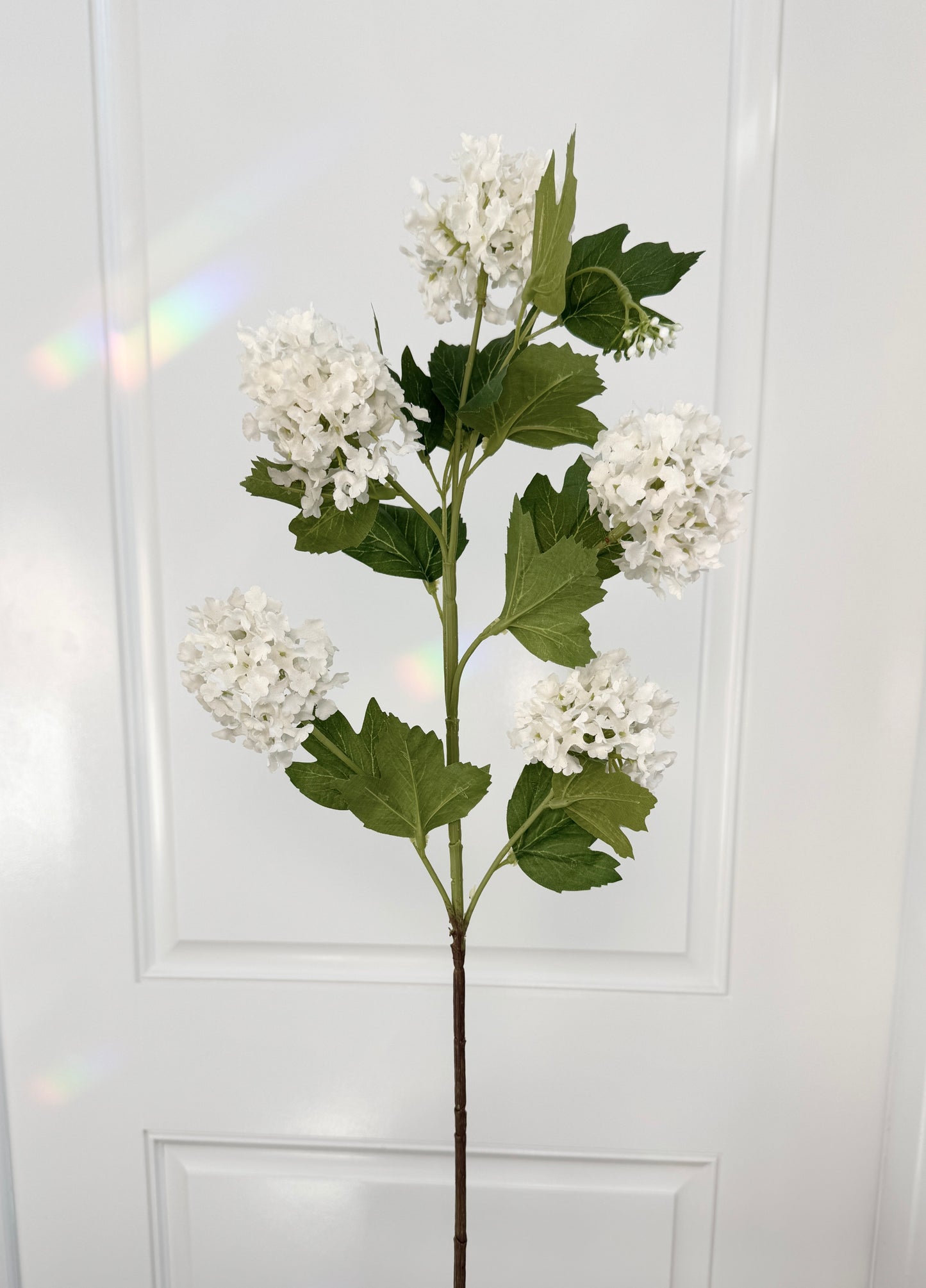 realistic faux snowball flowers
white hydrangea artificial stems
faux floral stems for vases
artificial flowers for table decor
fake hydrangeas that look real
white faux hydrangea bouquet
artificial flower arrangement stems
white silk snowball hydrangea
long stem fake flowers for decor
DIY faux flower arrangement supplies
artificial stems for floral design
luxury faux flower stems
artificial white floral spray
silk hydrangeas for wedding decor
decorative faux flower stems
premium white artifi