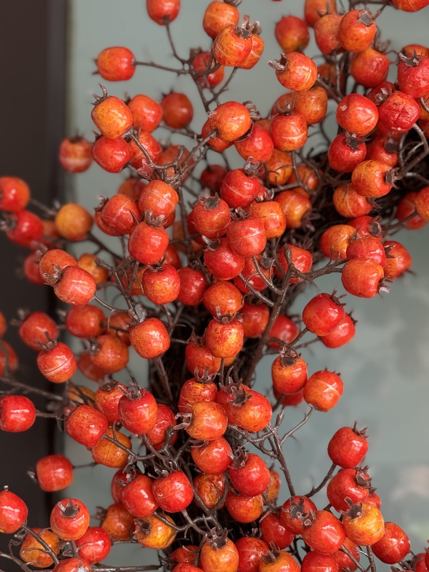 Fall Wreath for Door
Autumn Wreath with Berries
Christmas Holiday Wreath
Winter Holiday Wreath
Holiday Berry Wreath
Fall Autumn Door Wreath
Christmas Wreath with Orange Berries
Thanksgiving Door Wreath
Holiday Front Door Decor
Fall Seasonal Wreath