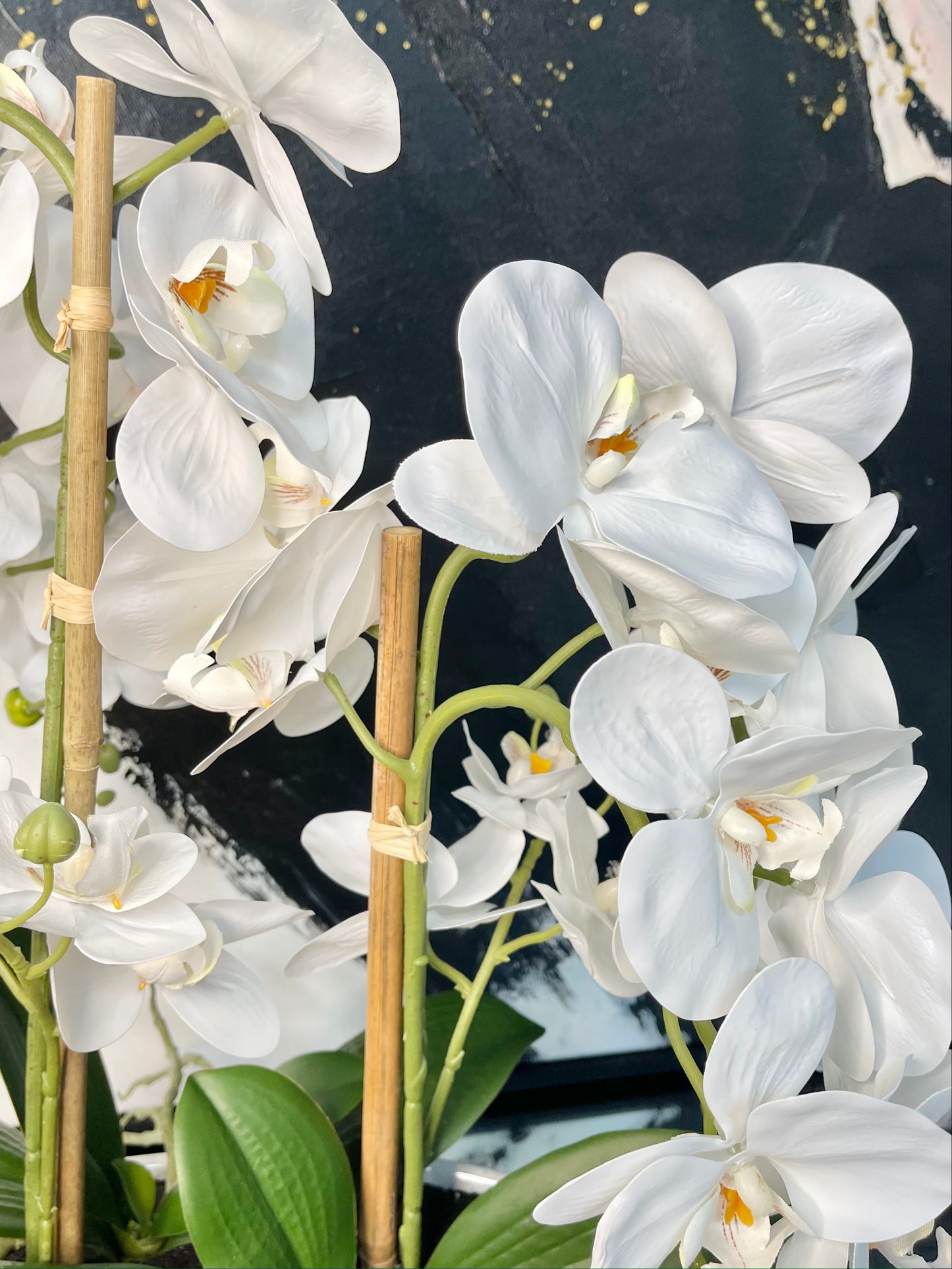 Phalaenopsis Orchid Floral Arrangement with White Vase