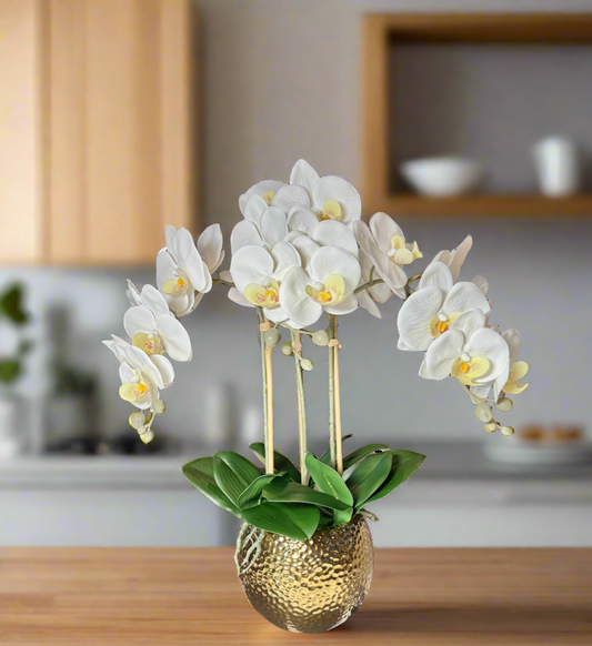 Ceramic Round Vase
Decorative Orchid Flowers
White Phalaenopsis Orchid
Faux Orchid Plant
Orchid Arrangement for Home
Elegant Orchid Arrangement
Real Touch Phalaenopsis
Realistic Orchid Arrangement
White Orchid Floral Display
Gold Hammered Ceramic Vase