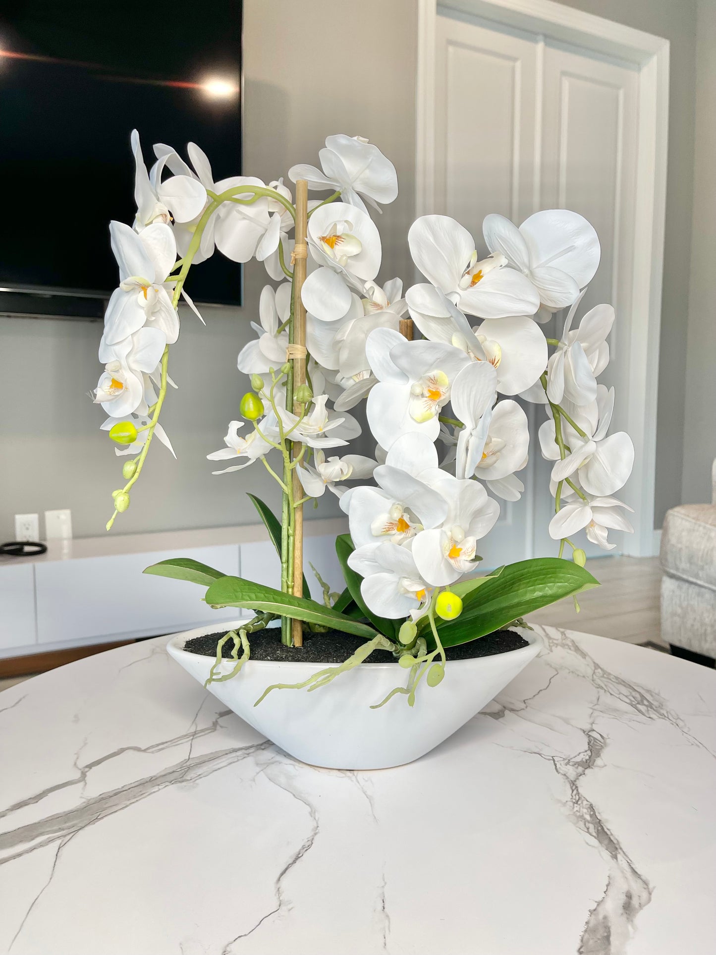 Phalaenopsis Orchid Floral Arrangement with White Vase