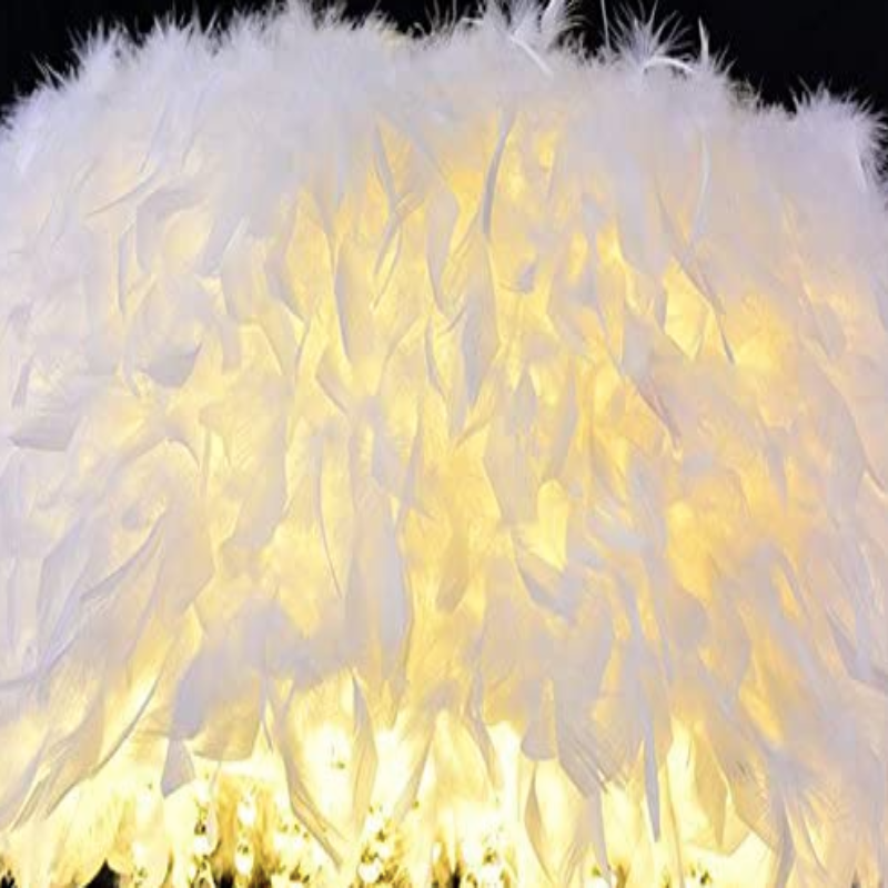 Totally Glam Feather Crystal Chandelier