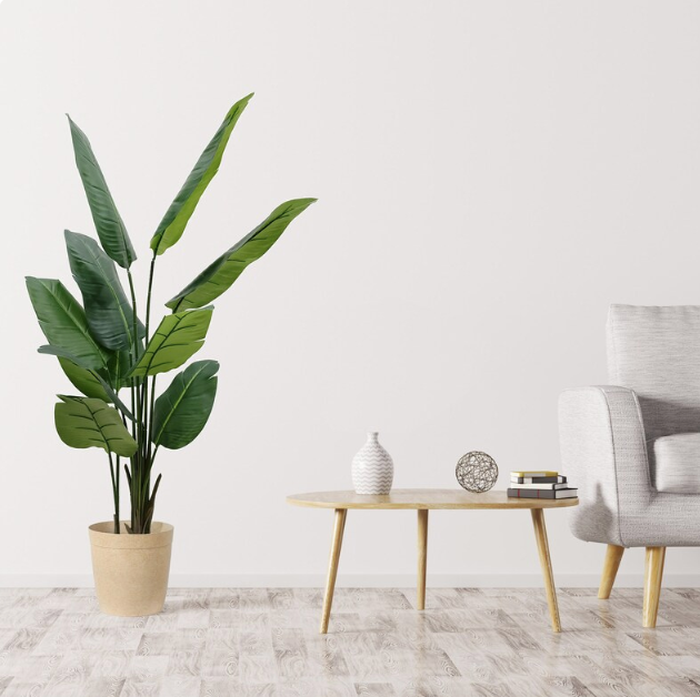 Faux Bird of Paradise Palm Tree, 5ft Plant