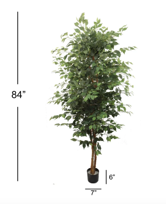Silk Ficus Tree, 7ft