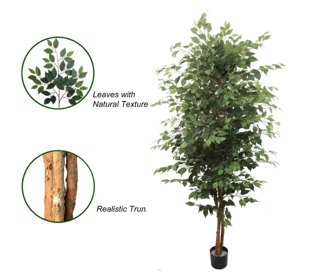 Silk Ficus Tree, 7ft