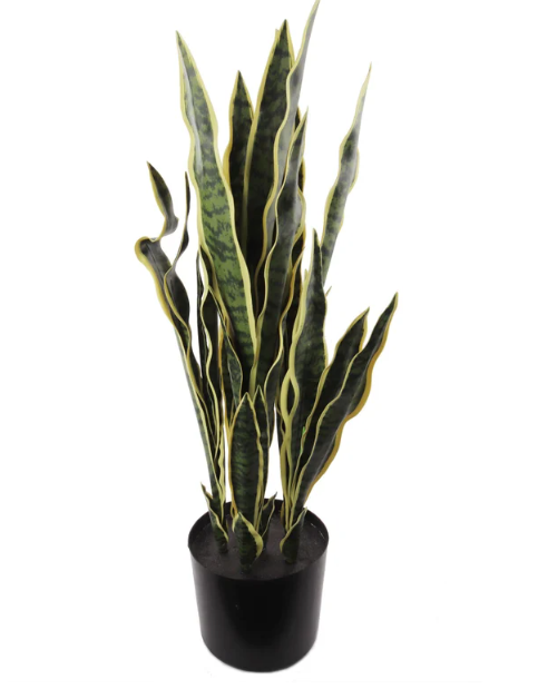 Silk Snake Plant, 36in