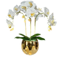 Amira Large Real Touch Phalaenopsis Orchid Floral Arrangement in Round Ribbed Gold Vase