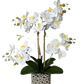 Amelie Silk Phalaenopsis Orchid Arrangement Silver Ceramic Vase