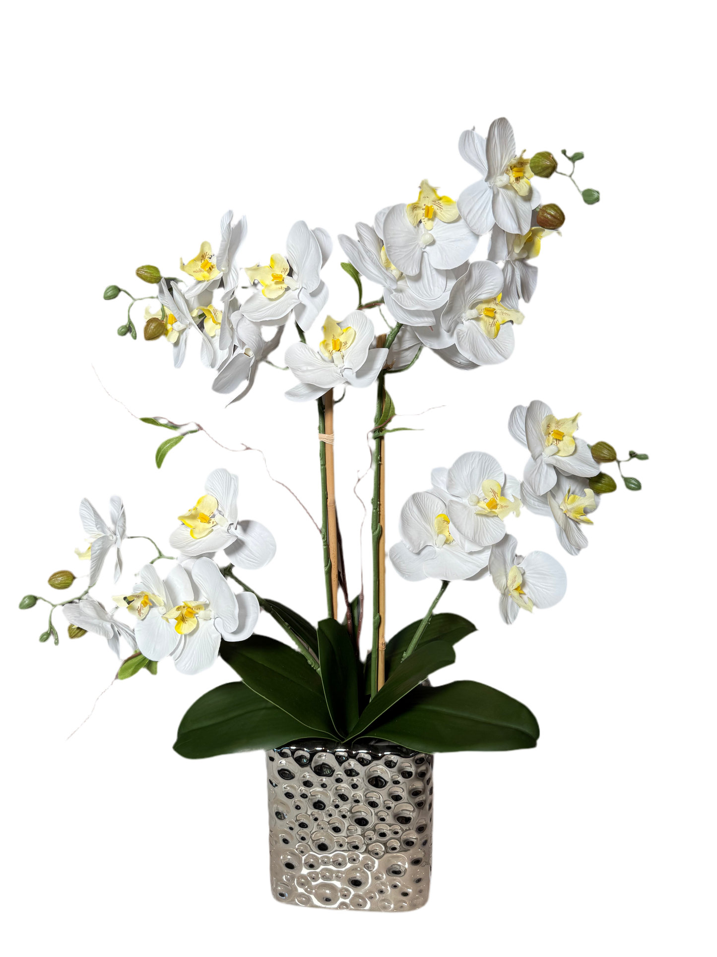Amelie Silk Phalaenopsis Orchid Arrangement Silver Ceramic Vase