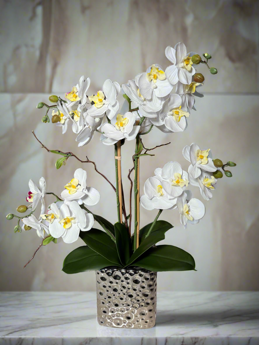 Amelie Silk Phalaenopsis Orchid Arrangement Silver Ceramic Vase