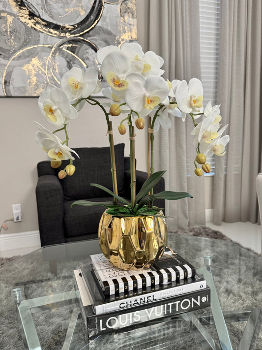 Amira Large Real Touch Phalaenopsis Orchid Floral Arrangement in Round Ribbed Gold Vase