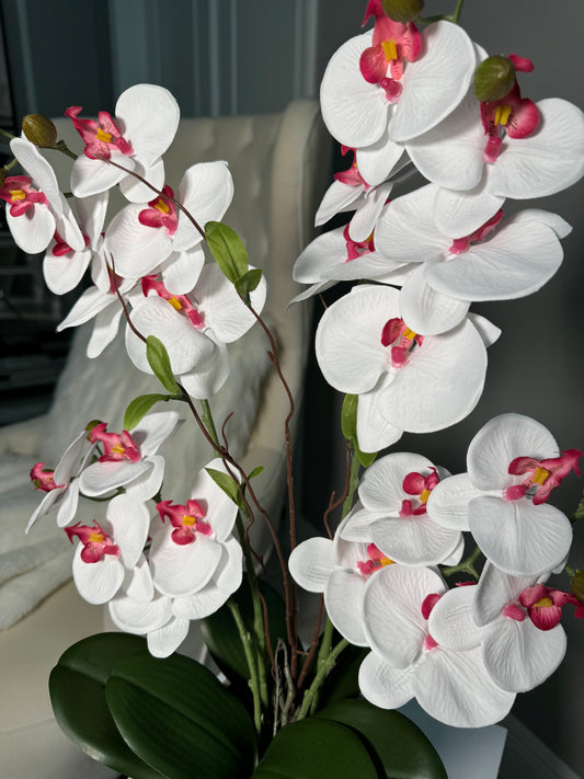 White Pink Silk Phalaenopsis Orchid Arrangement in Silver Hammered Vase