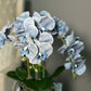 Giulia Real Touch Blue Orchid Arrangement in Beveled Silver Vase