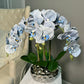 Giulia Real Touch Blue Orchid Arrangement in Beveled Silver Vase