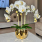 Amira Large Real Touch Phalaenopsis Orchid Floral Arrangement in Round Ribbed Gold Vase