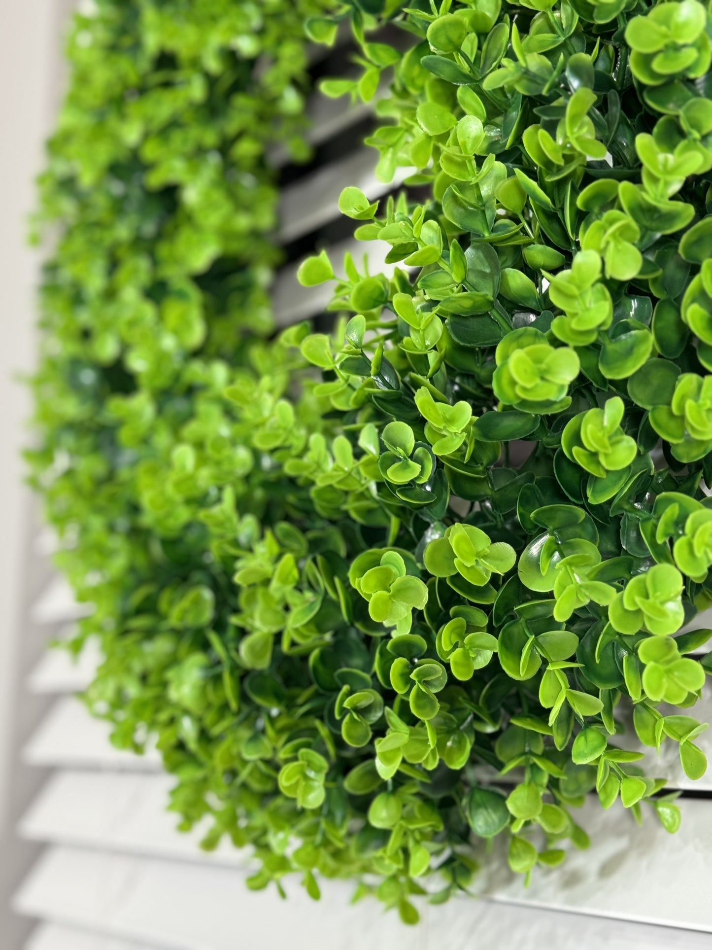 Chiara Artificial Green White Boxwood Decorative Wreath Indoor/ Outdoor Use 23''