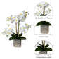 Phalaenopsis Orchid Silk Arrangement

Orchid Arrangement for Bedroom Decor

High-End Orchid Arrangement in Vase

Silver Ceramic Orchid Vase for Decor

Luxury Silk Orchid Centerpiece

Faux Phalaenopsis Orchid for Office

Real Touch Silk Orchid Arrangement

Artificial Orchid Centerpiece in Vase

Silk Orchid Arrangement with Vase

Modern Phalaenopsis Orchid for Home