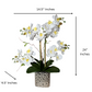 Silk Phalaenopsis Orchid Arrangement

Phalaenopsis Orchid Arrangement in Vase

Silk Orchid Flowers in Ceramic Vase

Artificial Silk Orchid Arrangement

Luxury Orchid Arrangement in Vase

Phalaenopsis Orchid in Silver Vase

Silk Orchid Arrangement for Home Decor

Decorative Orchid Arrangement in Vase

Realistic Silk Orchid Arrangement

Silver Ceramic Orchid Vase