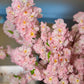 office decor artificial branches

spring home decor branches

baby shower pink decorations

event decor cherry blossoms

vase filler branches

lush floral arrangement

decorative branches for living room

bedroom decor pink flowers

everlasting cherry blossoms

low maintenance floral decor
