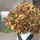 Brown silk hydrangea centerpiece

Fall wedding hydrangea flowers

Thanksgiving hydrangea floral decor

Hydrangea flowers for rustic decor

Modern farmhouse faux hydrangeas

Real touch silk hydrangea brown

Hydrangea centerpiece for dining table

Brown faux floral arrangement

Hydrangea stems for home decoration

Hydrangea flowers autumn decor