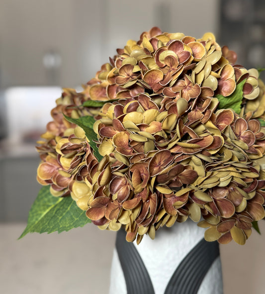 Brown silk hydrangea centerpiece

Fall wedding hydrangea flowers

Thanksgiving hydrangea floral decor

Hydrangea flowers for rustic decor

Modern farmhouse faux hydrangeas

Real touch silk hydrangea brown

Hydrangea centerpiece for dining table

Brown faux floral arrangement

Hydrangea stems for home decoration

Hydrangea flowers autumn decor