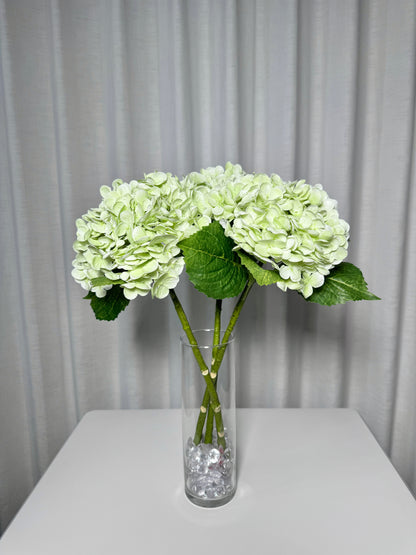 artificial green hydrangea

faux green hydrangea

real touch hydrangea stems

lifelike artificial flowers

20 inch hydrangea stems

green hydrangea bouquet

faux hydrangea set of 3

fake hydrangea wedding flowers

realistic faux hydrangeas

artificial hydrangea centerpieces