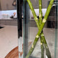 Decorative hydrangea stems for mantel

Nude orange hydrangea silk stem

Hydrangea centerpiece modern farmhouse

Hydrangea flowers for rustic decor

Realistic faux hydrangea stems orange

Silk hydrangea flowers elegant decor

Lifelike hydrangea artificial stem orange

Artificial hydrangeas with real touch

Hydrangea centerpiece dining room

Faux hydrangea flowers timeless style