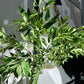 artificial greenery for home decor

modern faux plant decor

minimalist leaf stem decoration

interior decor faux greenery

decorative artificial branches

natural style home greenery

farmhouse greenery stems

silk branch arrangements

rustic faux leaf decor

boho greenery decor