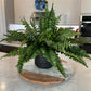 Porch artificial plant decor

Patio plant decor ideas

Outdoor greenery for porch

Faux plants for balcony

Garden decor artificial ferns

Front porch fern decorations

Lifelike artificial greenery

Artificial plants for outdoor use

Decorative fern plant fake

Home decor with fake plants