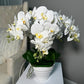 Real Touch Phalaenopsis Orchid Floral Arrangement with White Vase