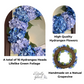 spring hydrangea wreath

summer hydrangea door wreath

year-round blue floral wreath

farmhouse hydrangea wreath

coastal style wreath

cottagecore floral wreath

elegant front door wreath

seasonal door decor wreath

silk wreaths for front doors

porch decor hydrangea wreath