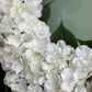 wedding flower wreath

bridal shower wreath

white floral wreath for events

housewarming wreath gift

wreath for memorial services

event decoration flower wreath

floral wreath for baby shower

white wreath for birthday party

reception floral wreath

celebration white floral decor