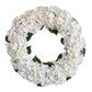 spring artificial flower wreath

summer white hydrangea wreath

fall white floral wreath

winter white wreath

four season door wreath

year-round flower wreath

evergreen white floral decor

seasonal wreath for front door

white door wreath for all seasons

seasonal faux floral ring